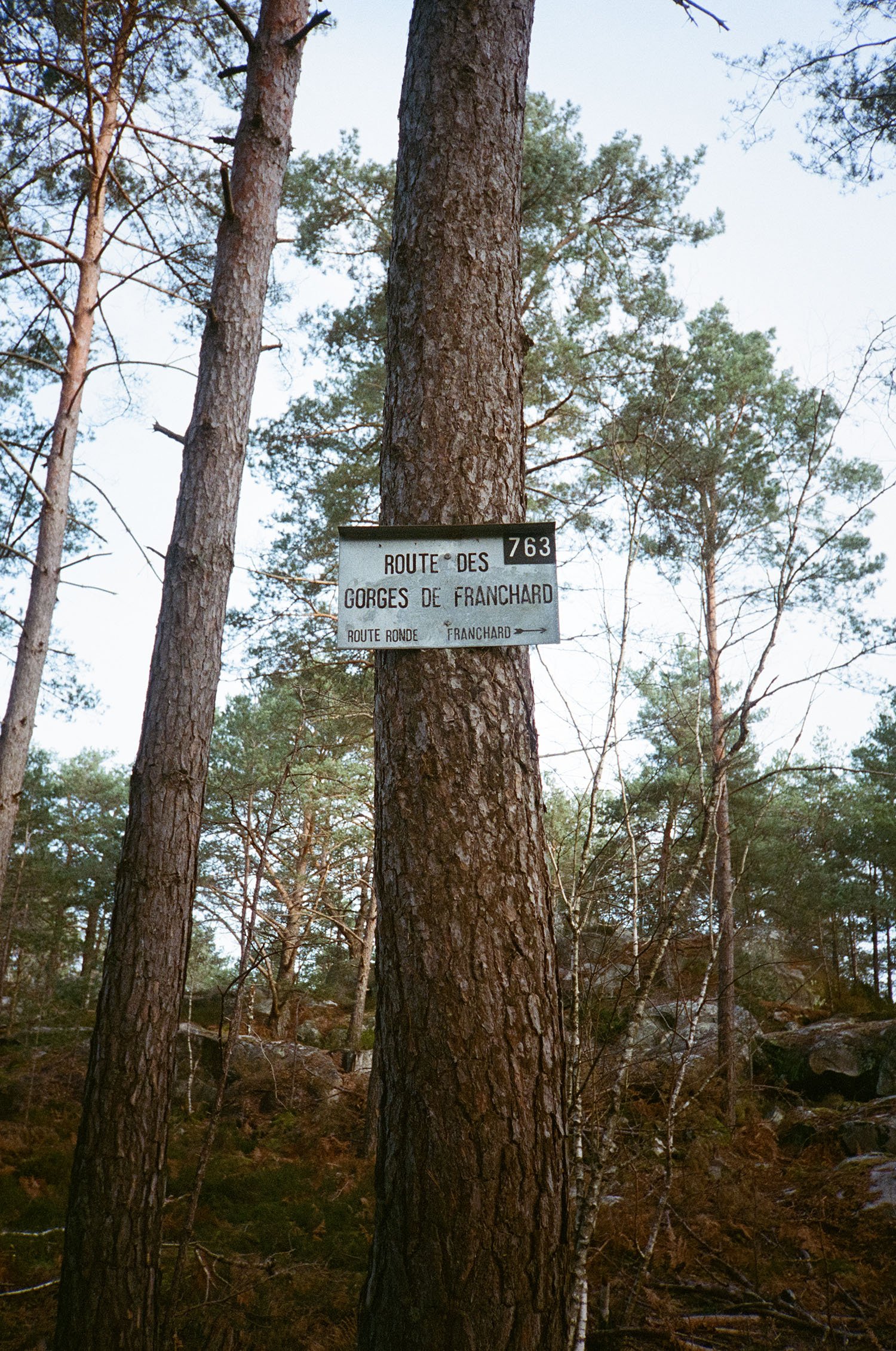 Route Des Gorges De Franchard.jpg
