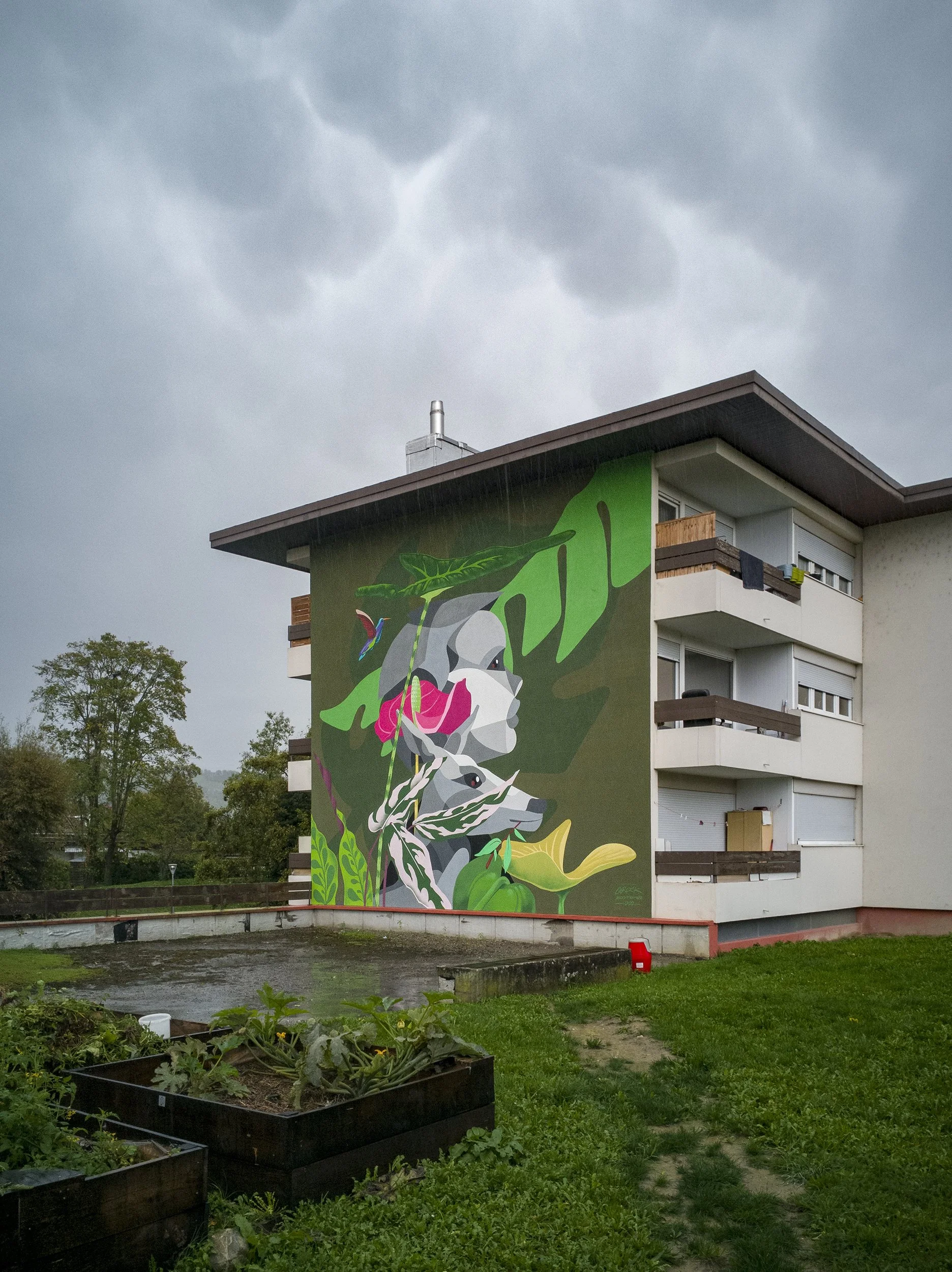 fresque bolliets