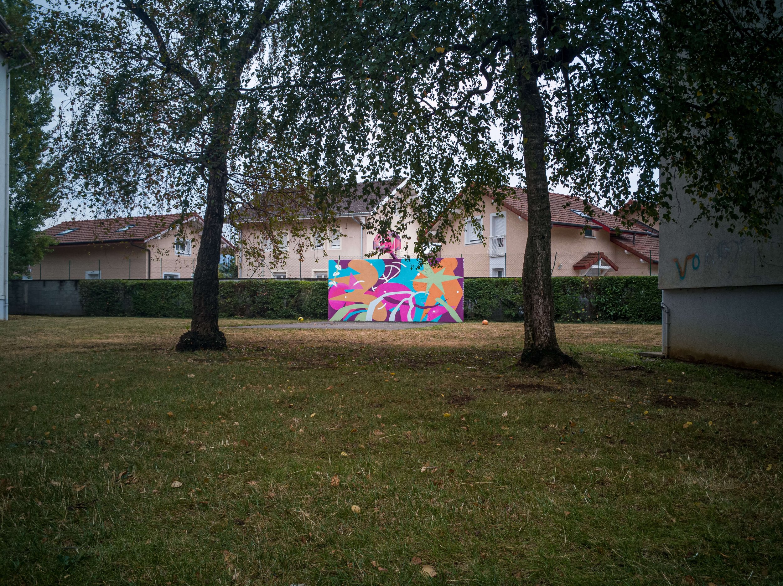 fresque vongy