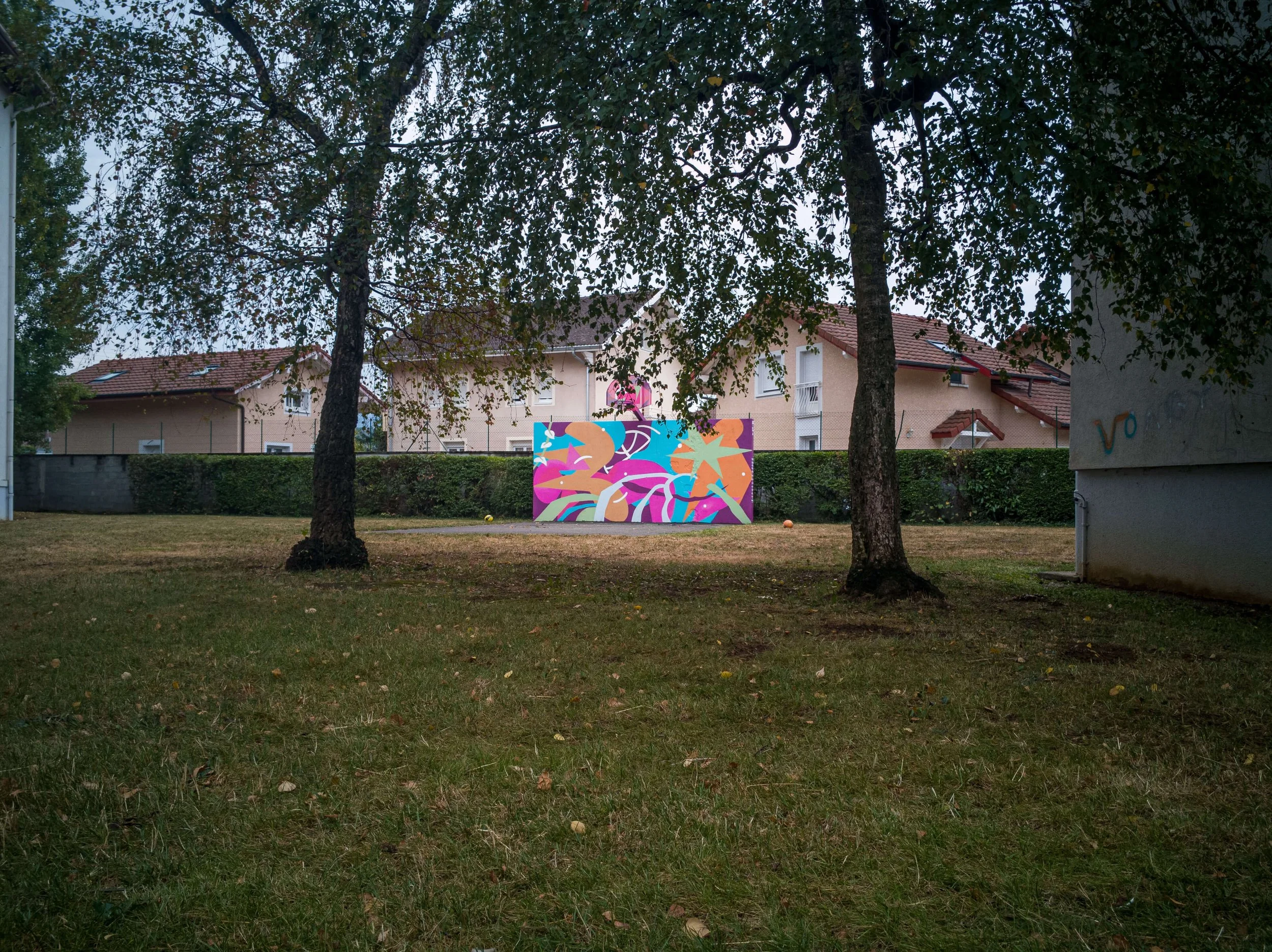 fresque vongy