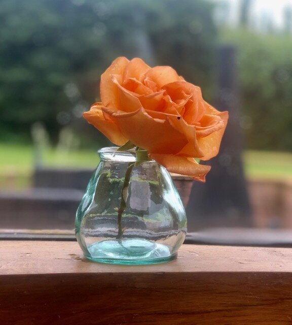 clear with rose.jpg