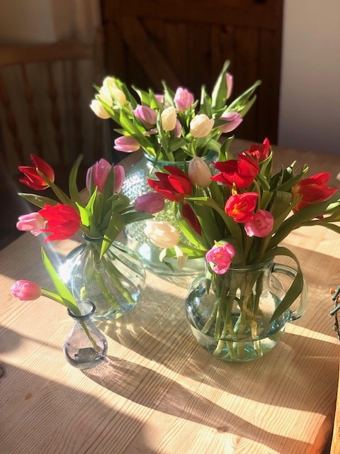 light catching vases.jpg