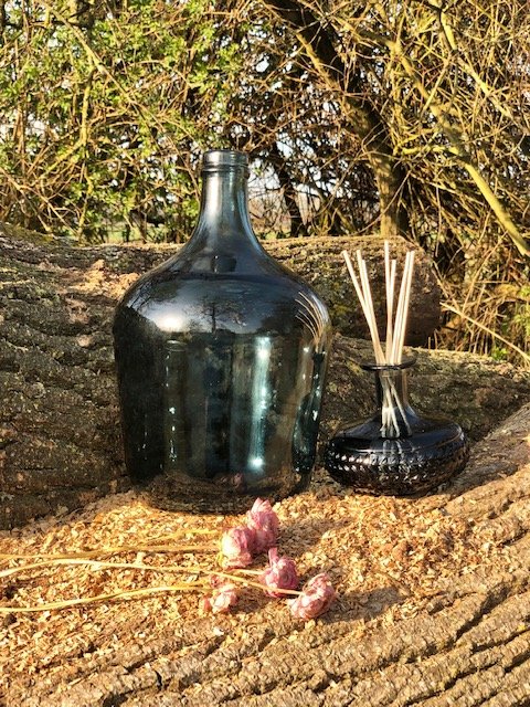 Garrafa and tura vases in garden.jpg