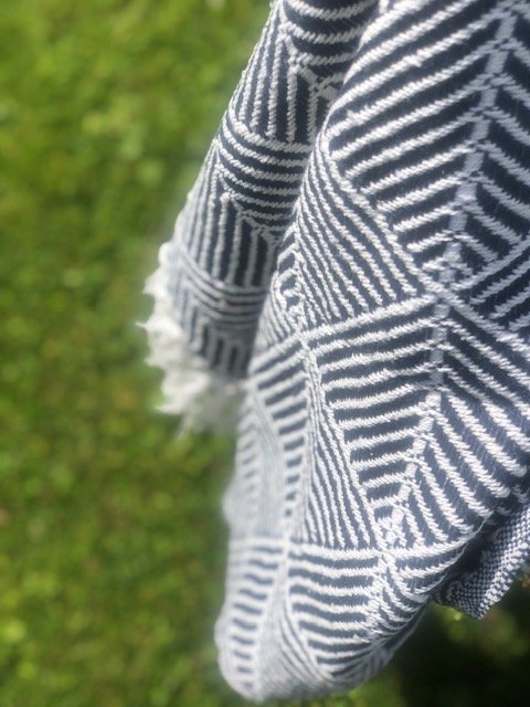 close up of blue.jpg