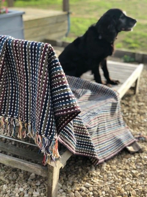 outside with pooch blue.jpg