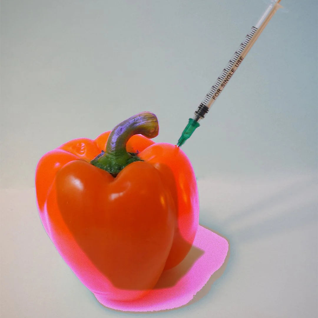 Deranged Fruit_Pepper_Julia_Oram.jpg