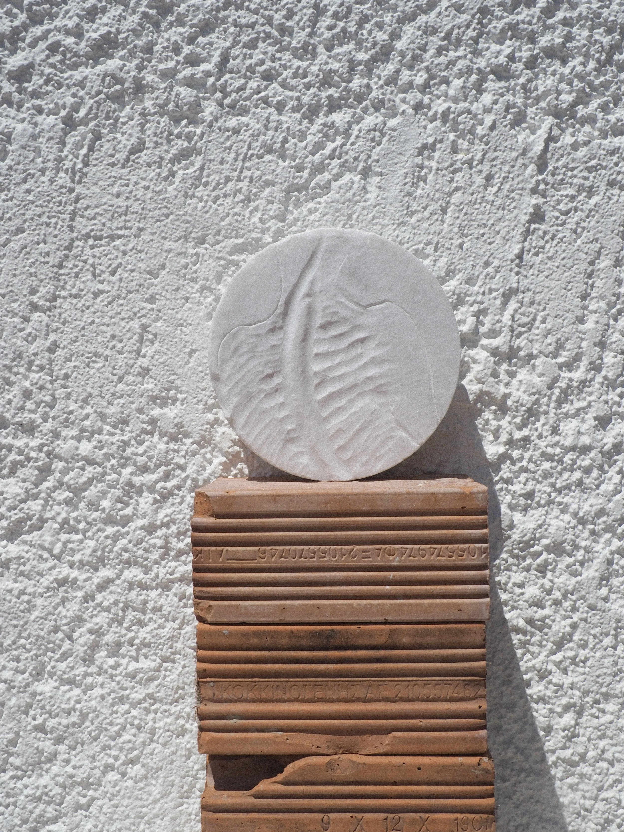 P1010417.JPG