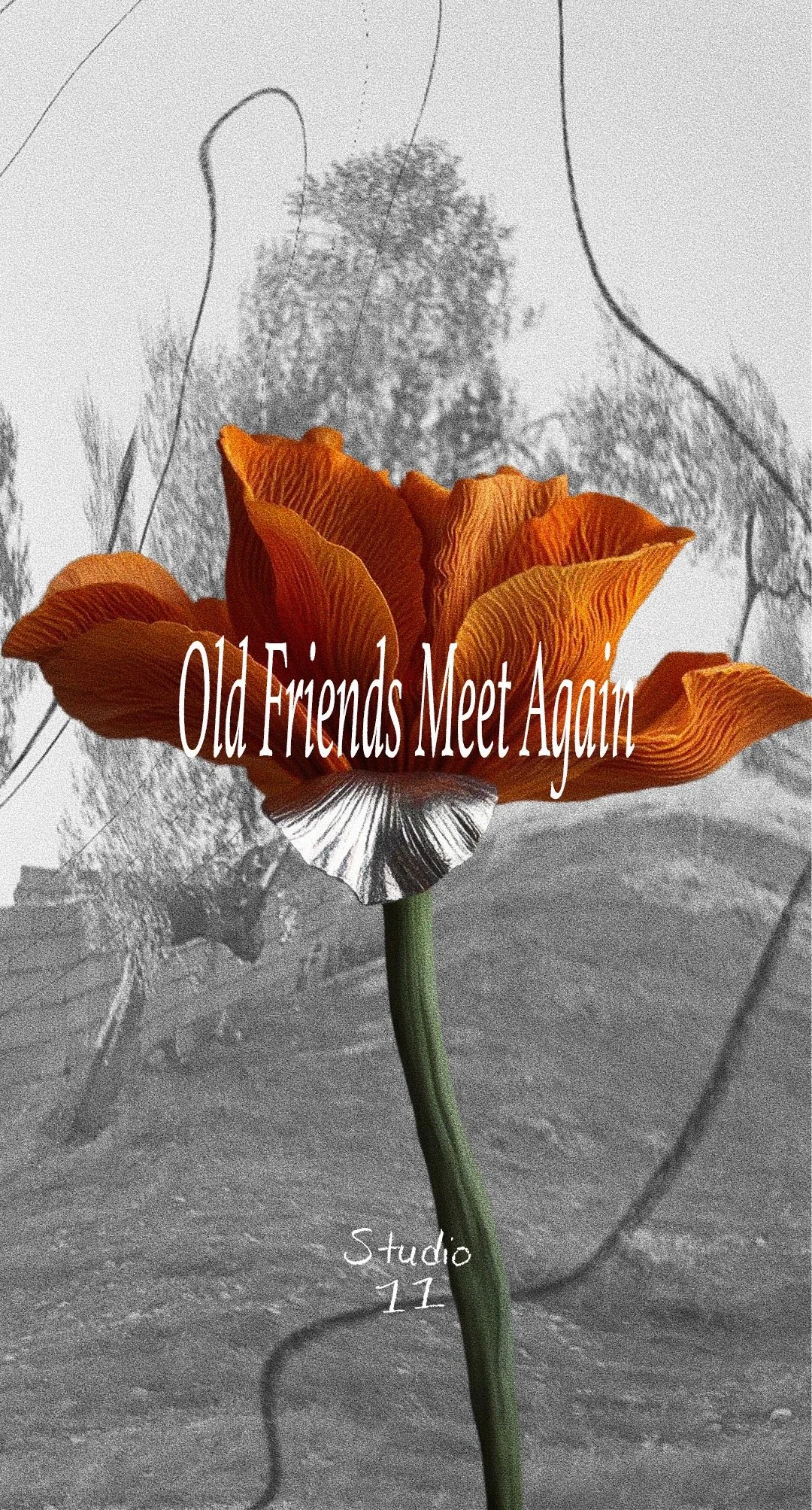 Old Friends Meet Again Exhibition (Second Edition)