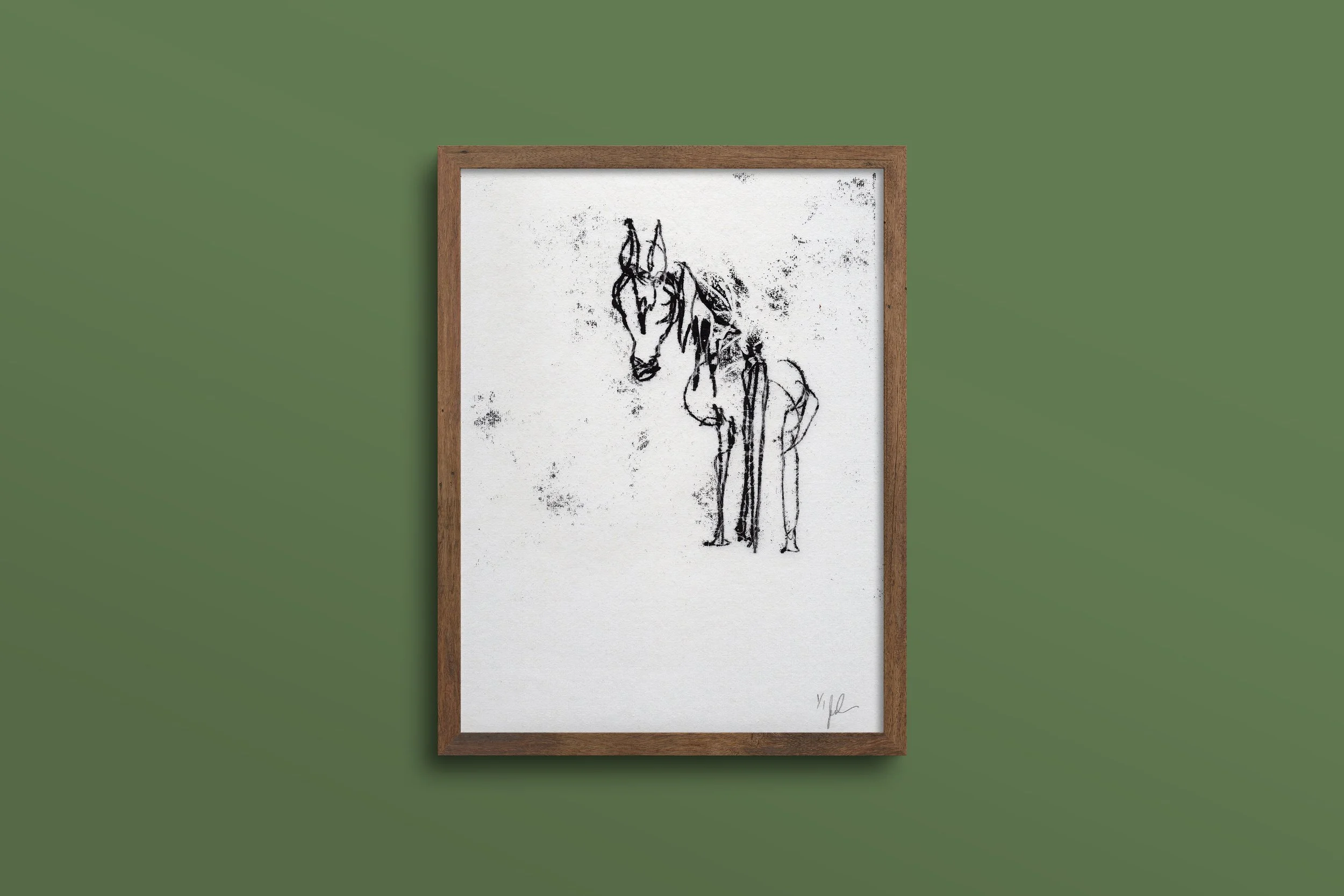 horse1.jpg