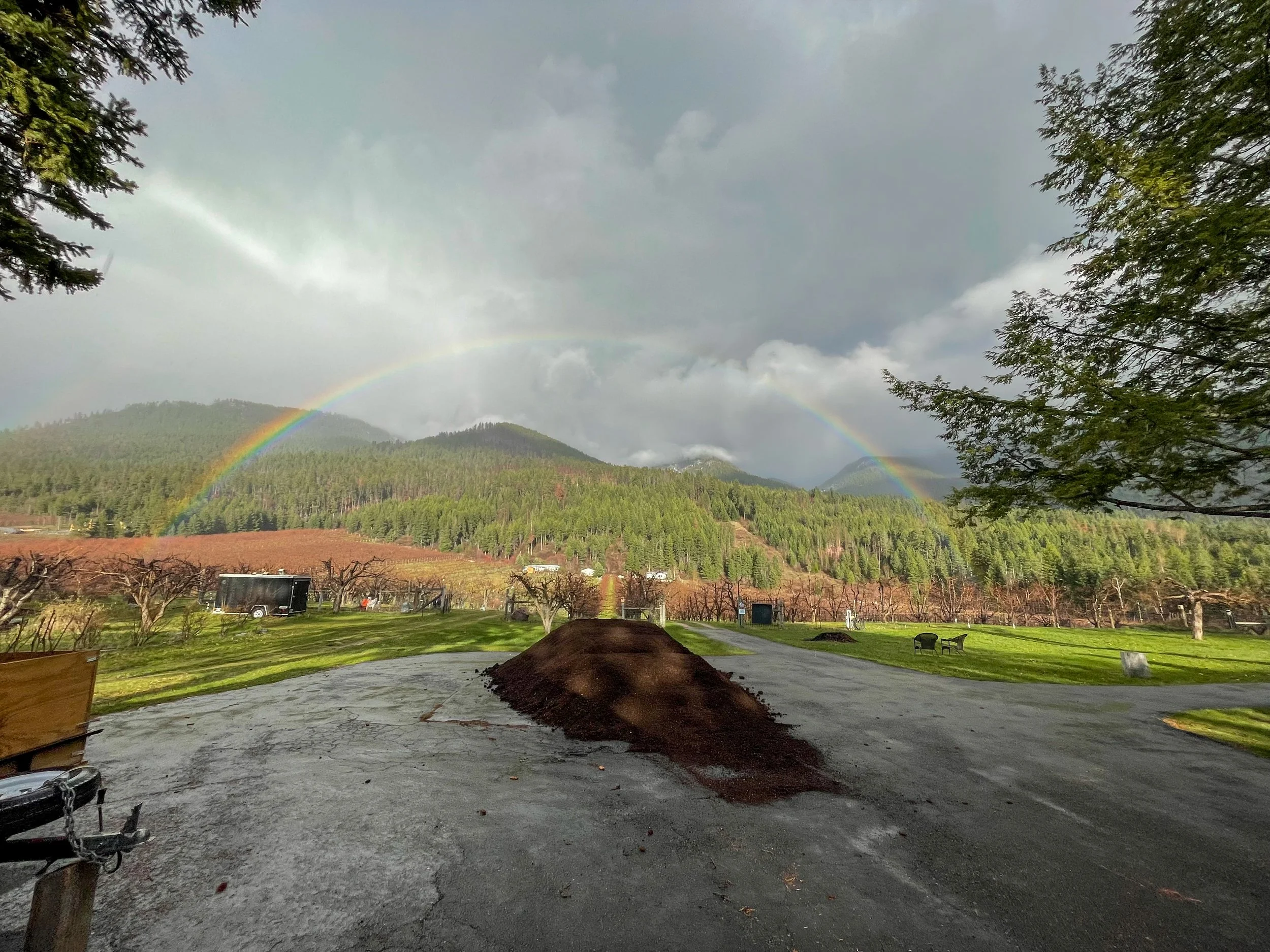 A compost pile beneath a rainbow, with sunlight pouring over the Mission Mountains and the orchard in view—nature doing its thing.