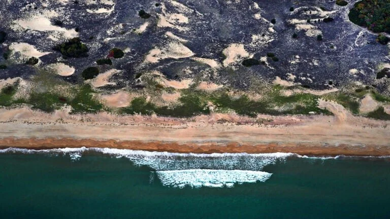 Take in the views at Sunset Club, opening on Plum Island this summer