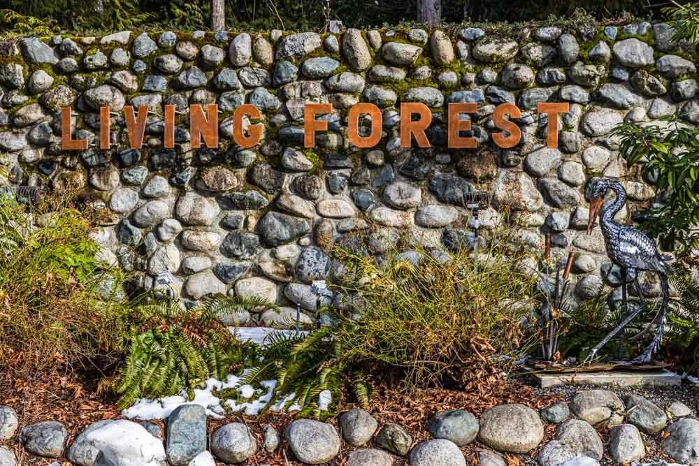 Living Forest Oceanside Campground Rv Park Review