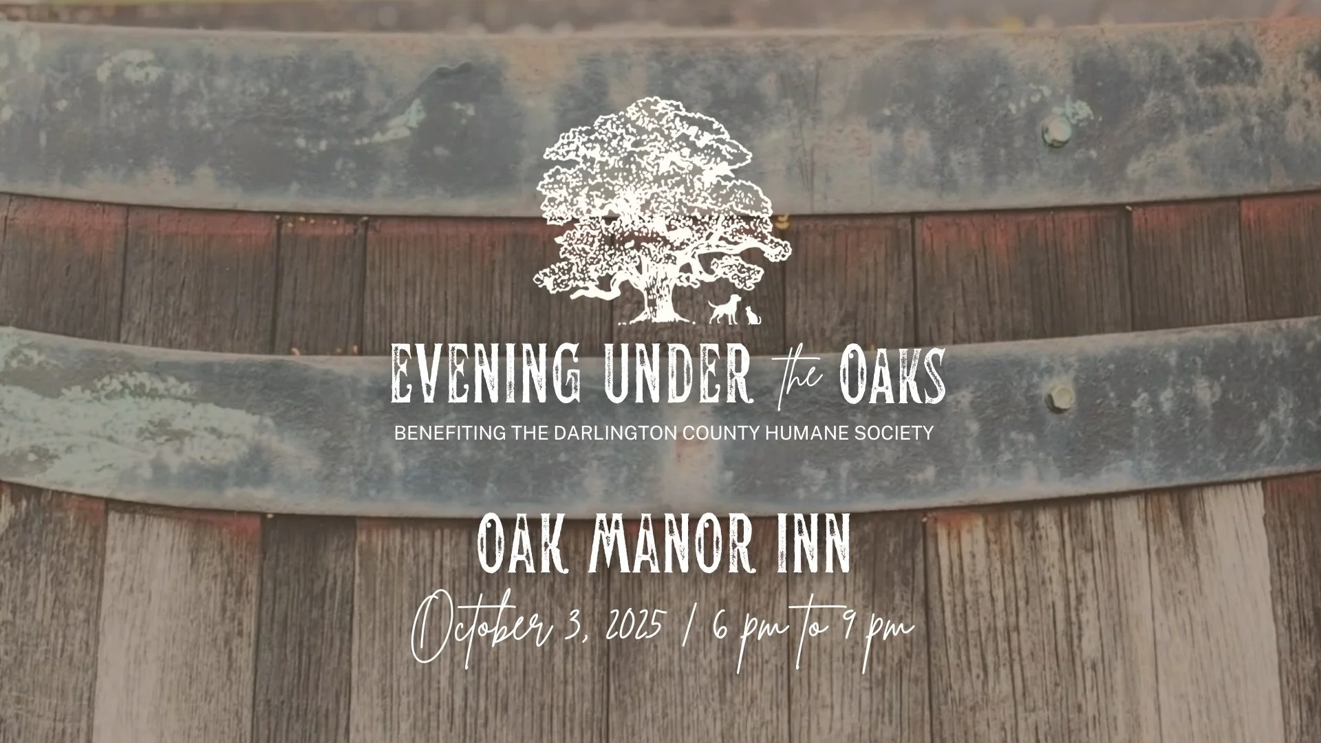 Evening Under the Oaks