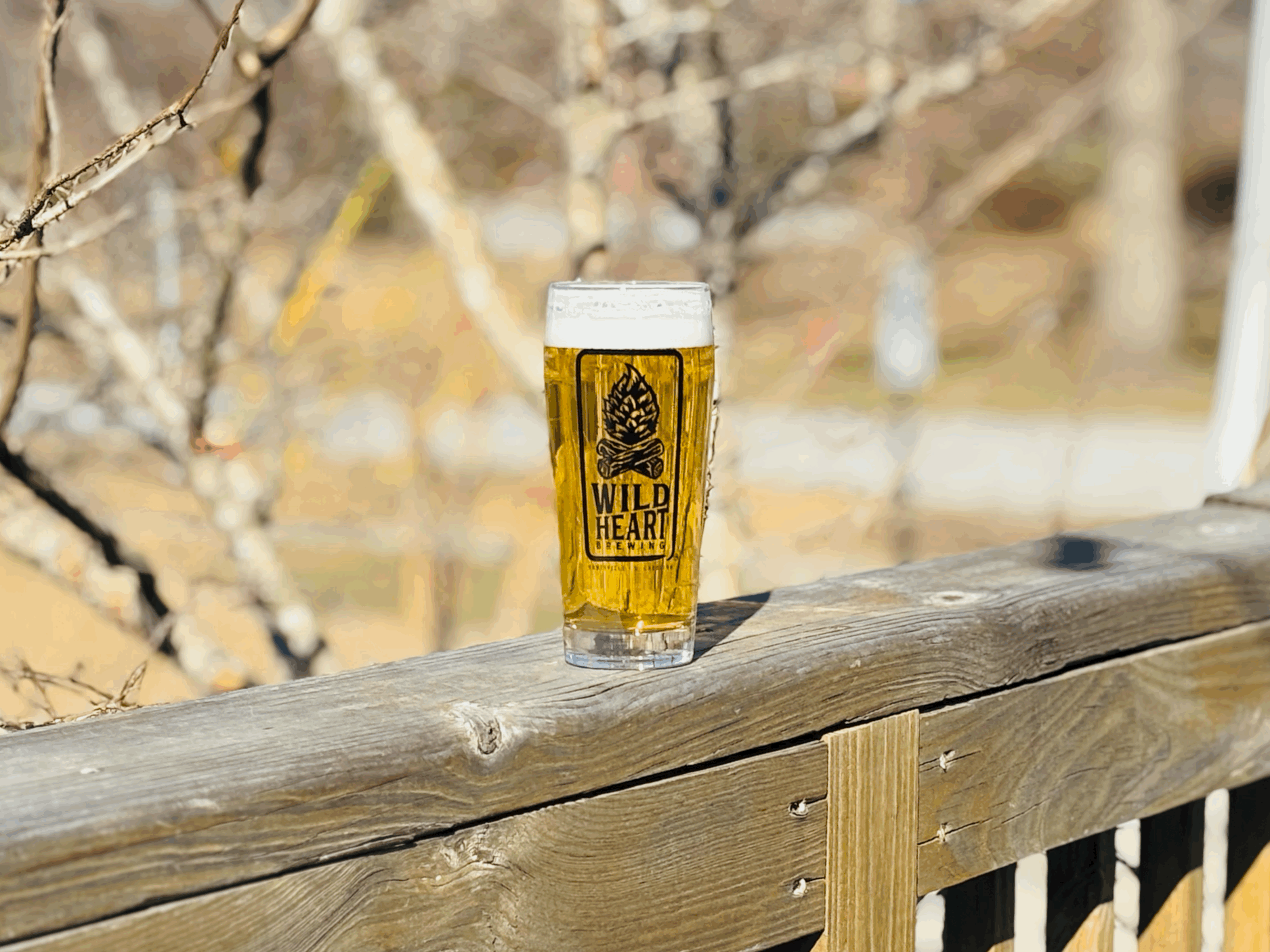 Hop Atlas: Dolcita+Mosaic