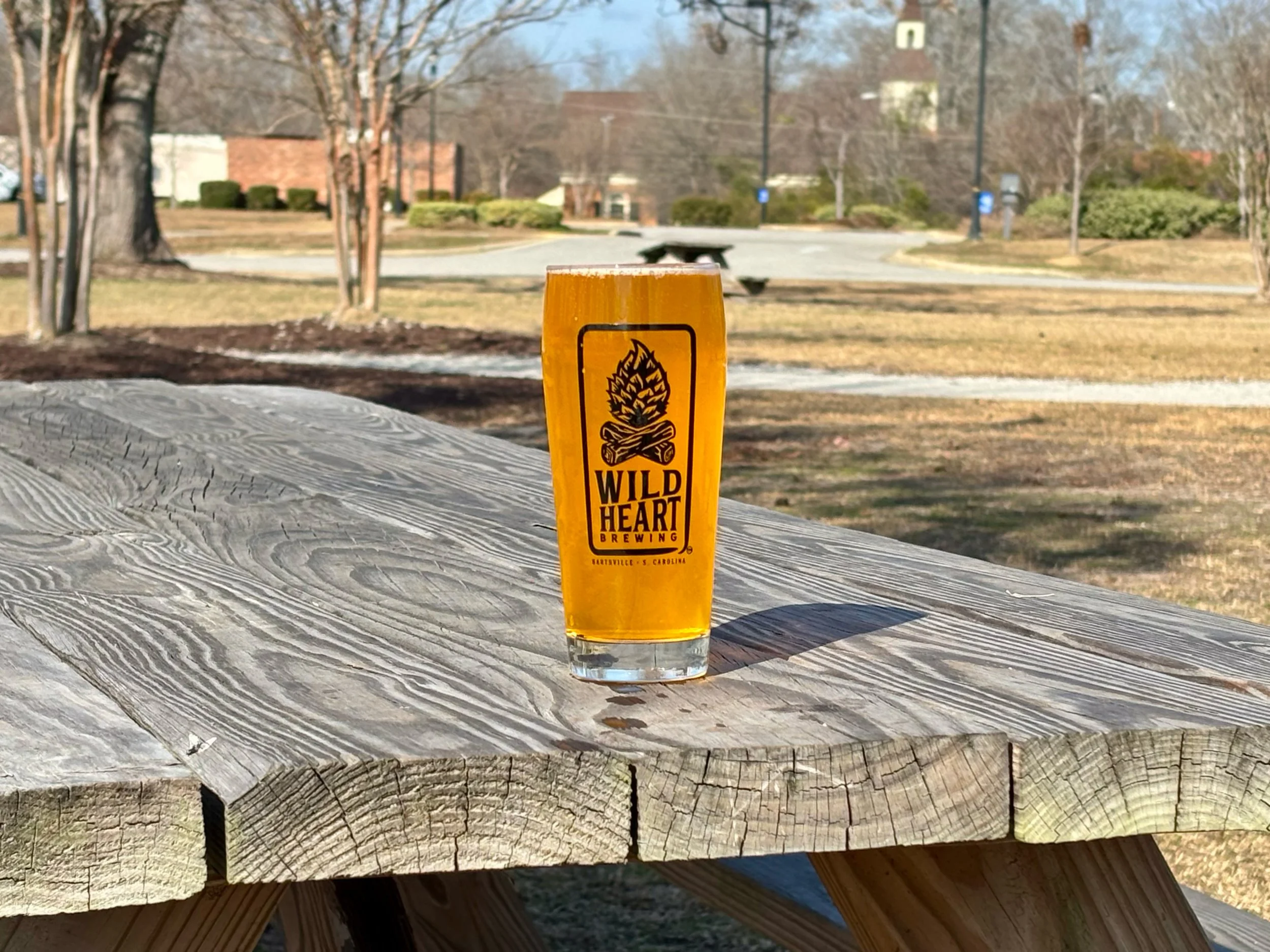 Game Day Fizz: Orange Seltzer