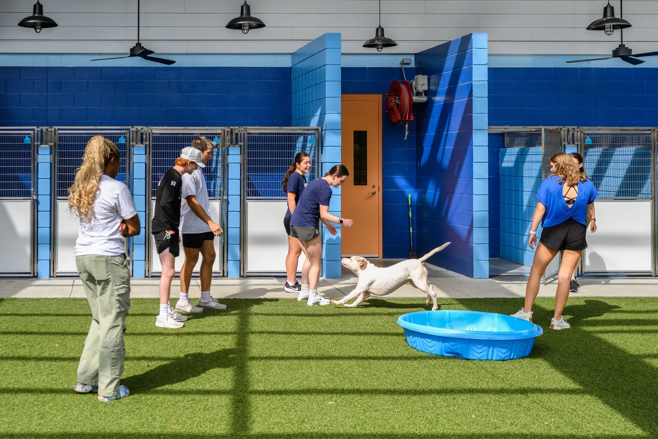 2nd Annual Rescue Brew Event with DCHS