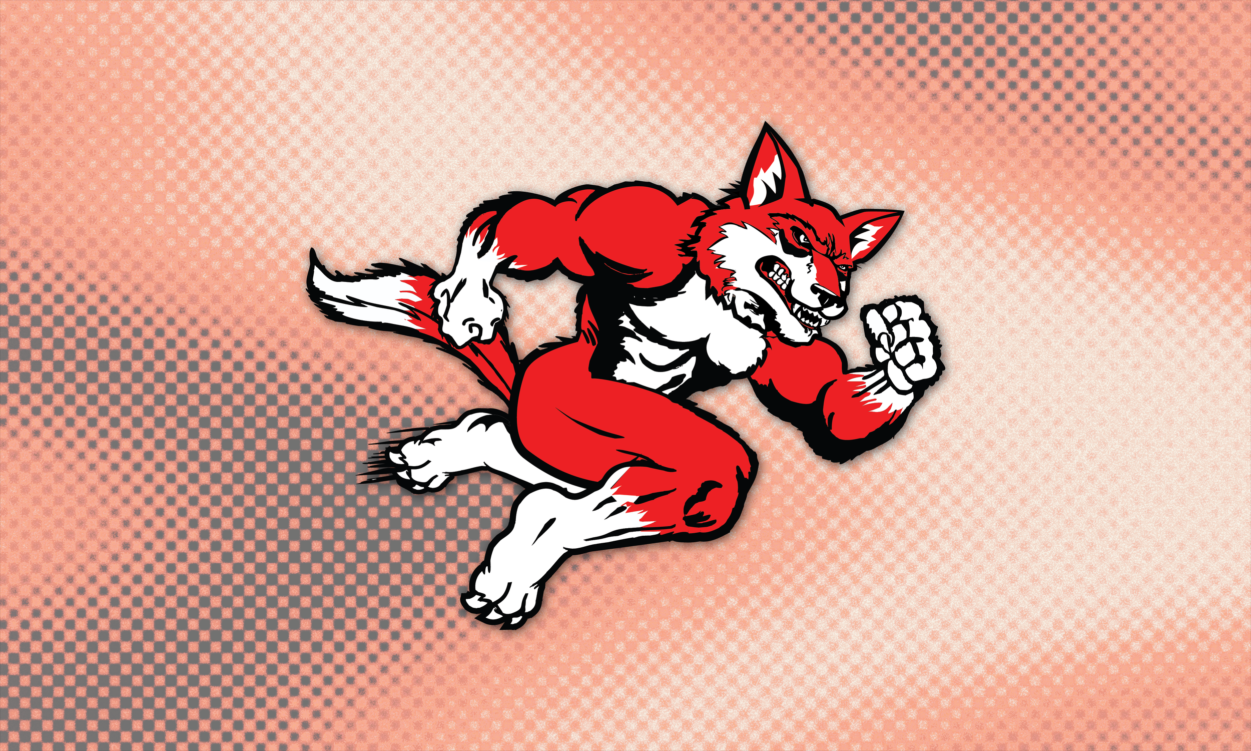HHS Red Fox 20-year Reunion