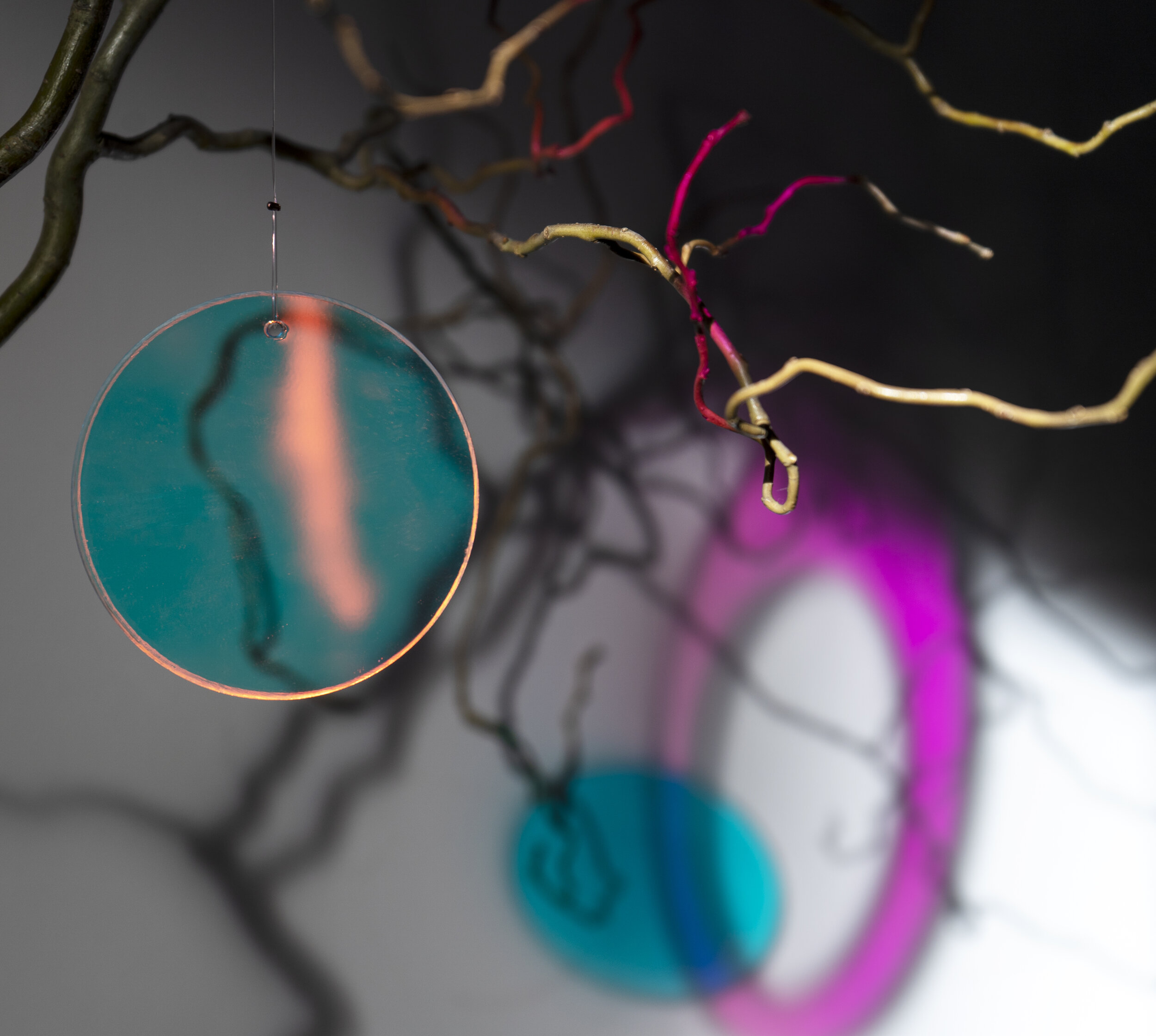 Branch in ight of E4.jpg