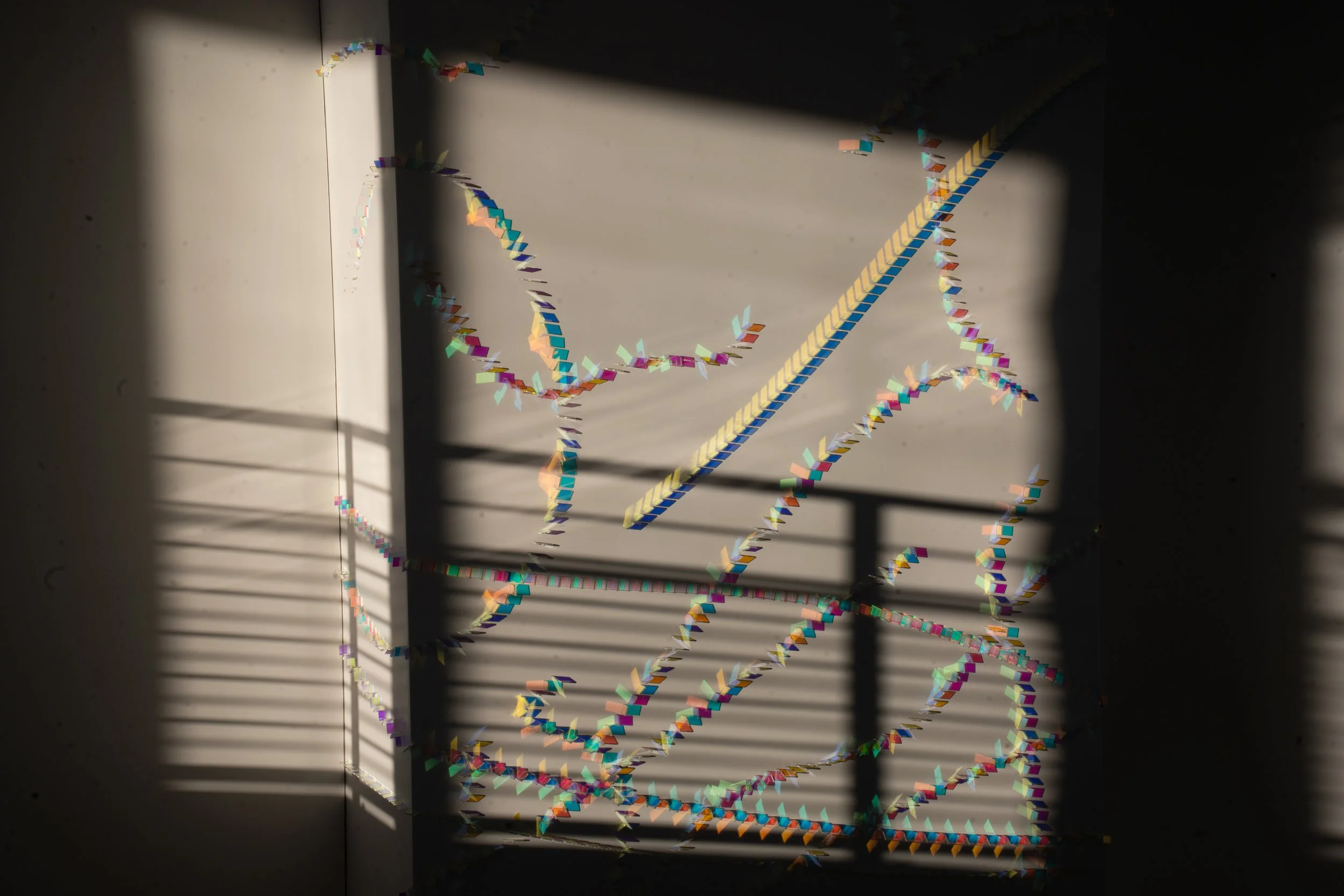 LGM05477.jpg