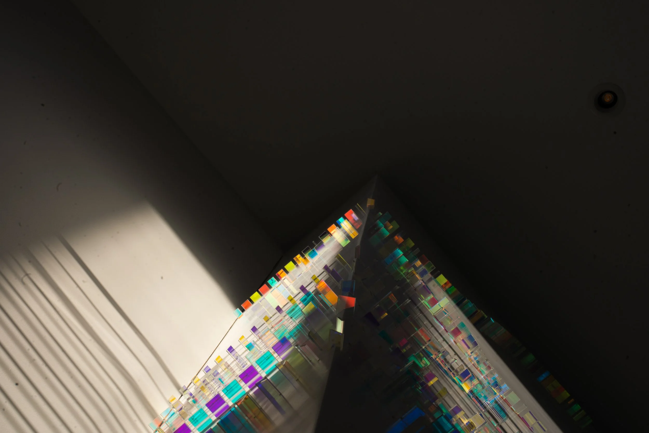 LGM05507.jpg