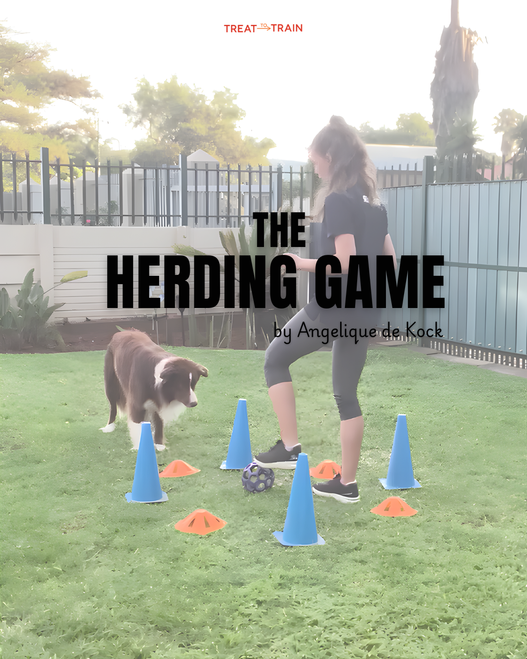 The Herding Game