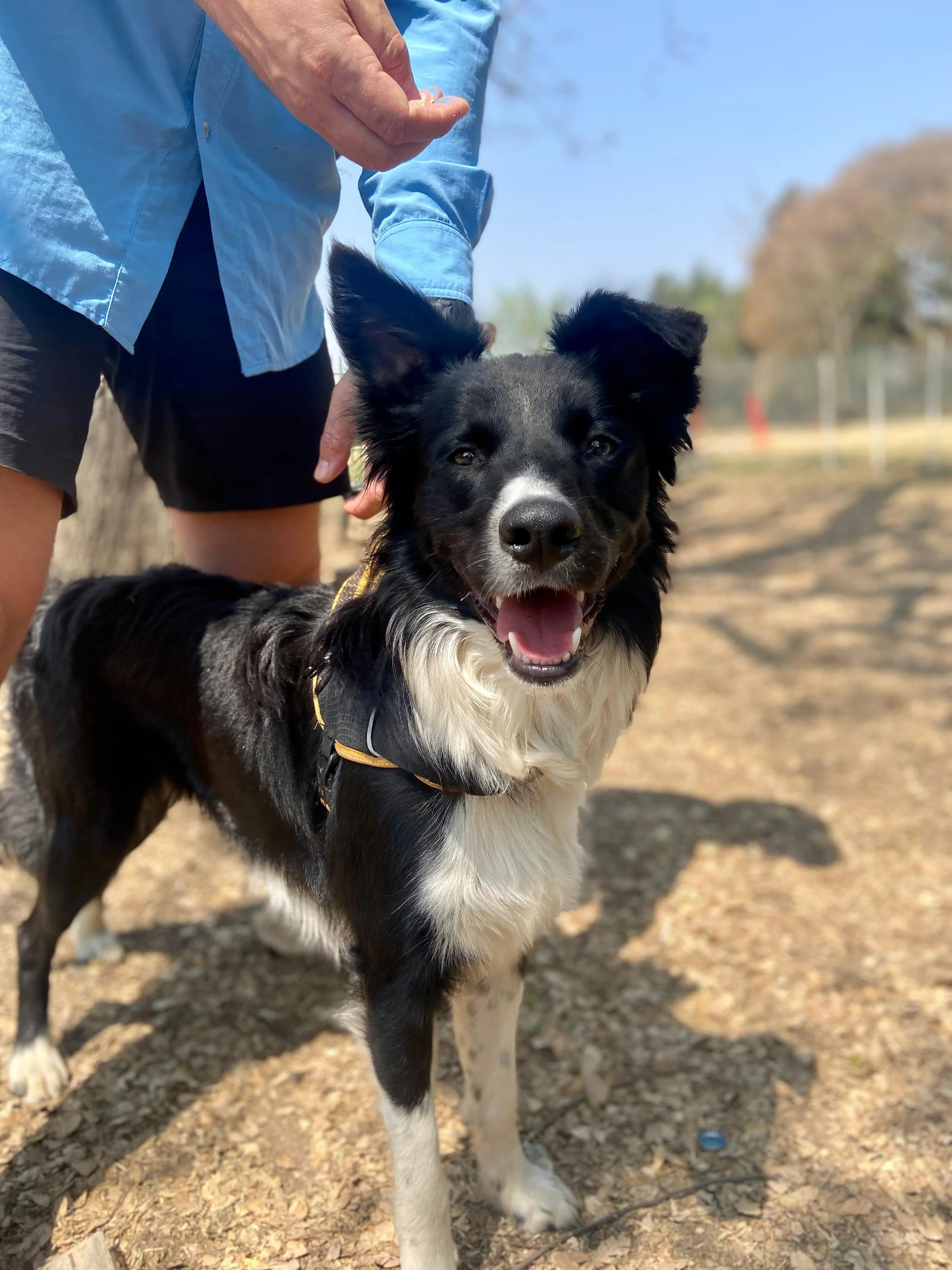 WhatsApp Image 2025-01-07 at 11.22.47_69d073d1.jpg