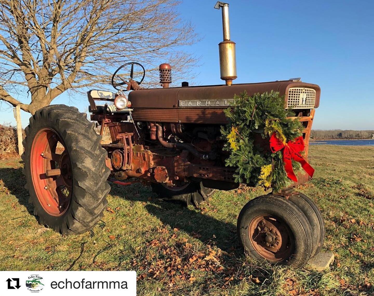 #Repost @echofarmma with @get_repost
・・・
Patiently waiting for Christmas. #Dartmouthma#roadsideamerica#internationalharvester#thisismytown#righttofarm#horseneck#farmall#ipulledoverforthis#tirediron#vintagetractor#ih#massachusetts_igers #farmcoast