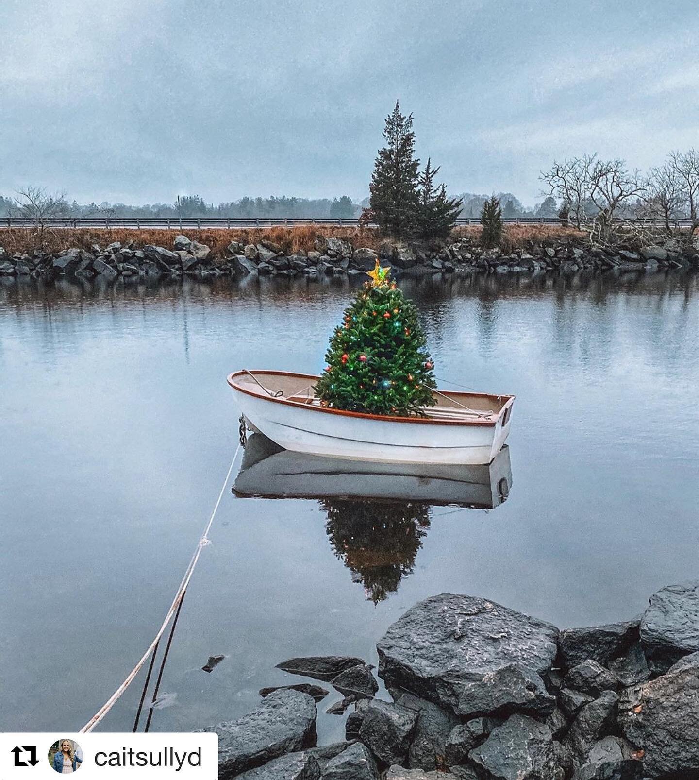 #Repost @caitsullyd with @get_repost
・・・
The sweetest little Christmas Tree you ever did see. 🌲 ⚓️ #Farmcoastchristmas #farmcoast #tivertonri