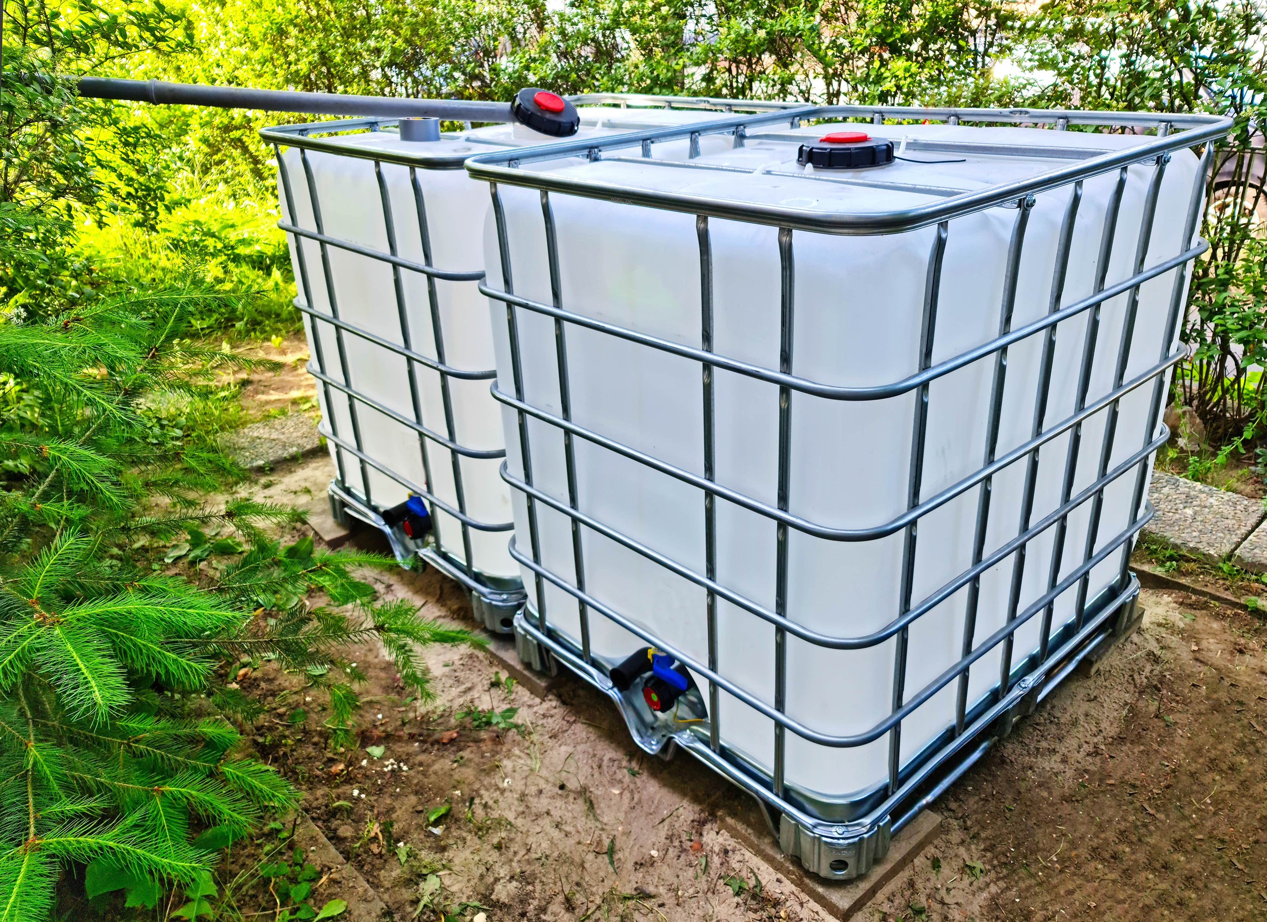 IBC Container 1000l 2.jpeg