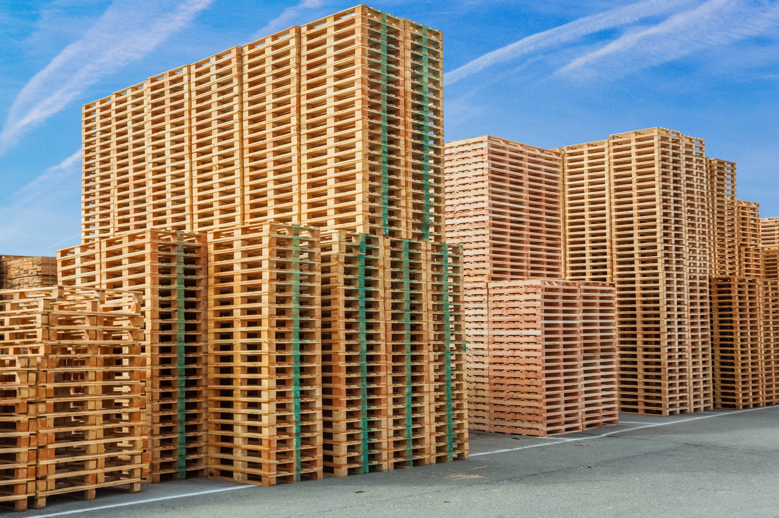 Wooden pallets SAATKARY CARGO.jpeg