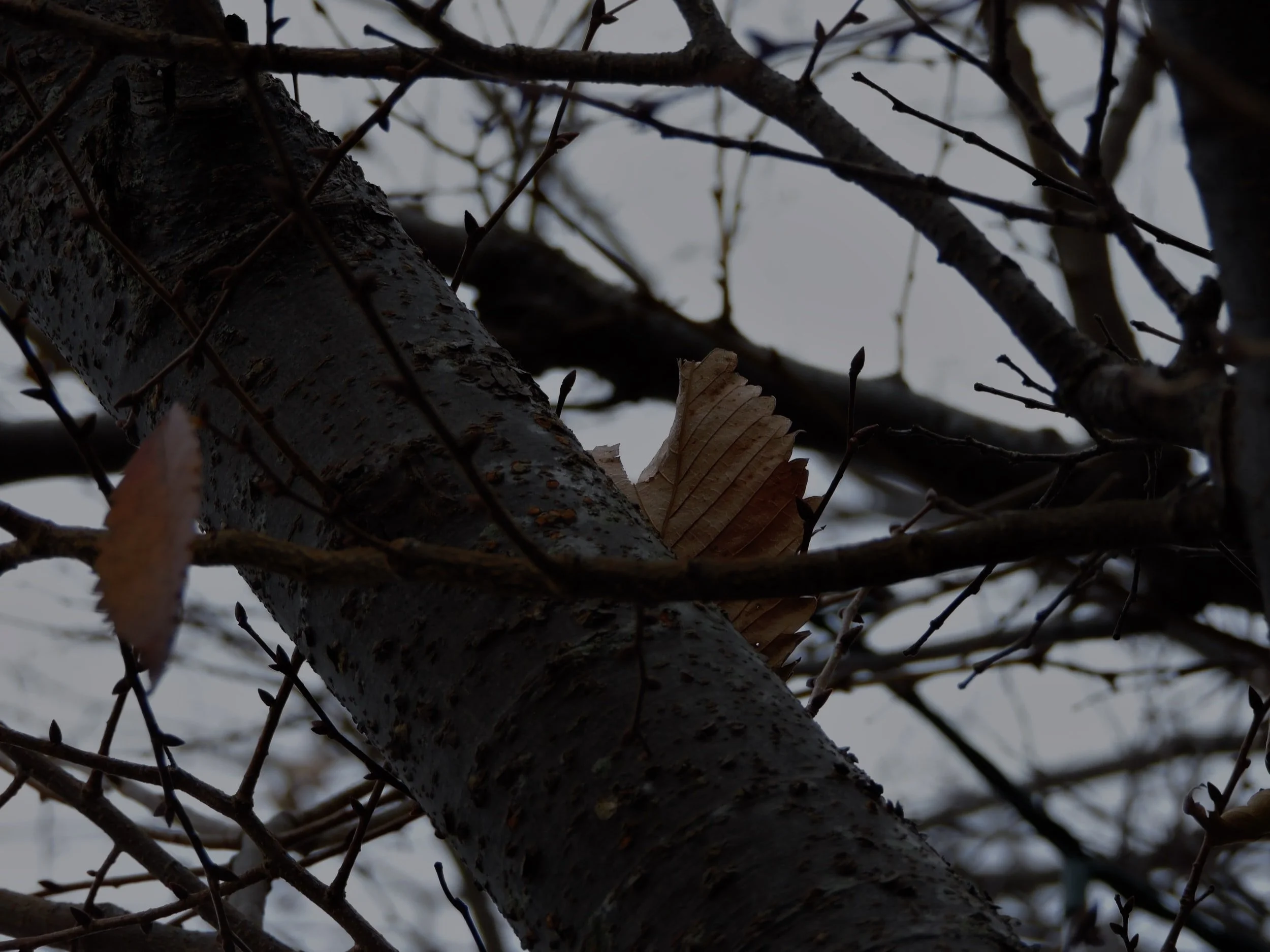 Marraskuun 2021 kirje