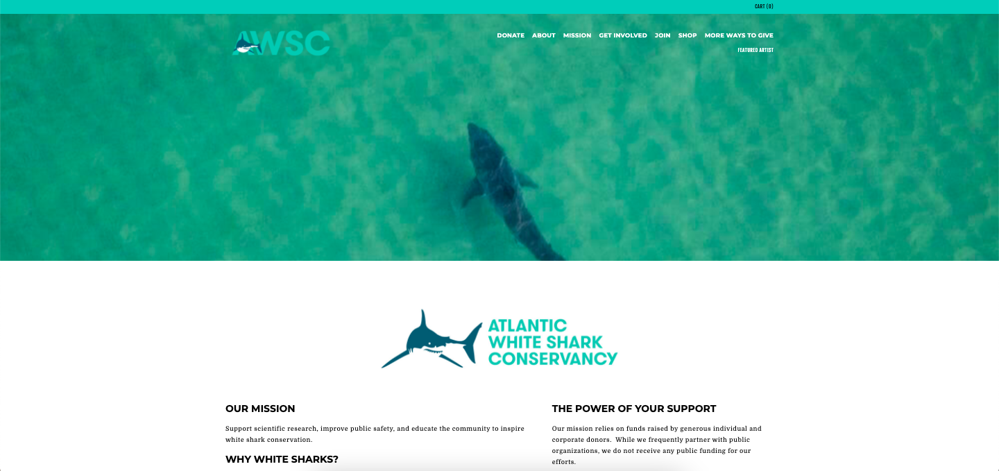 Atlantic White Shark Conservancy