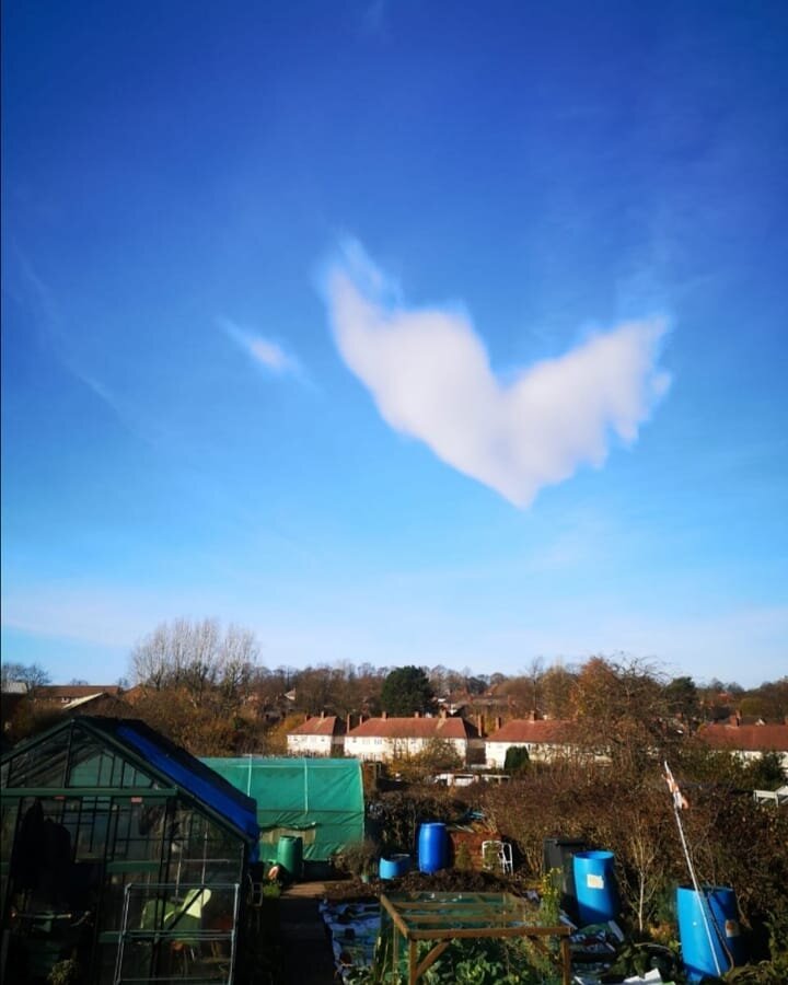 Still lots to do at Smethwick CAN Grow Community Allotment.  We are working on installing new raised beds around the patio area and preparing the plot for winter.