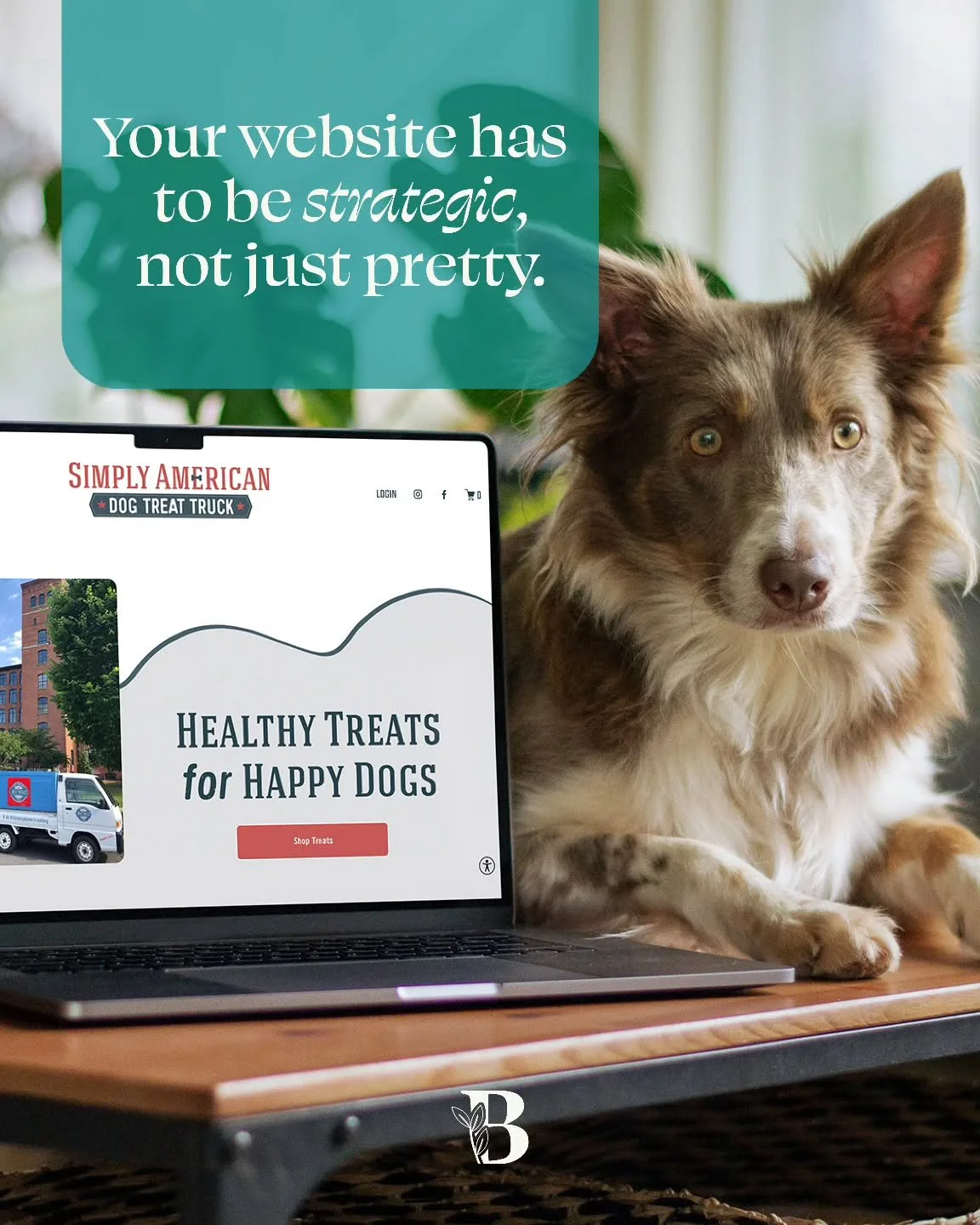 This website was designed for Simply American Dog Treat Truck back in 2023, and it is still one of my favorites to look back on.

They are a small, woman-owned business, and they did not need a website that just sat there looking cute. They needed so