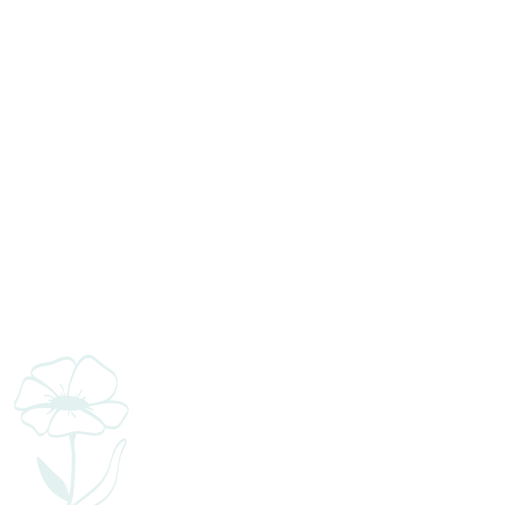 Line drawing of a blooming flower with delicate petals and leaves.