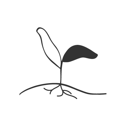 A simple line drawing of a small plant with two leaves and roots.