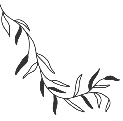 Black and white line drawing of a leafy vine curling from the top left to the bottom right corner.
