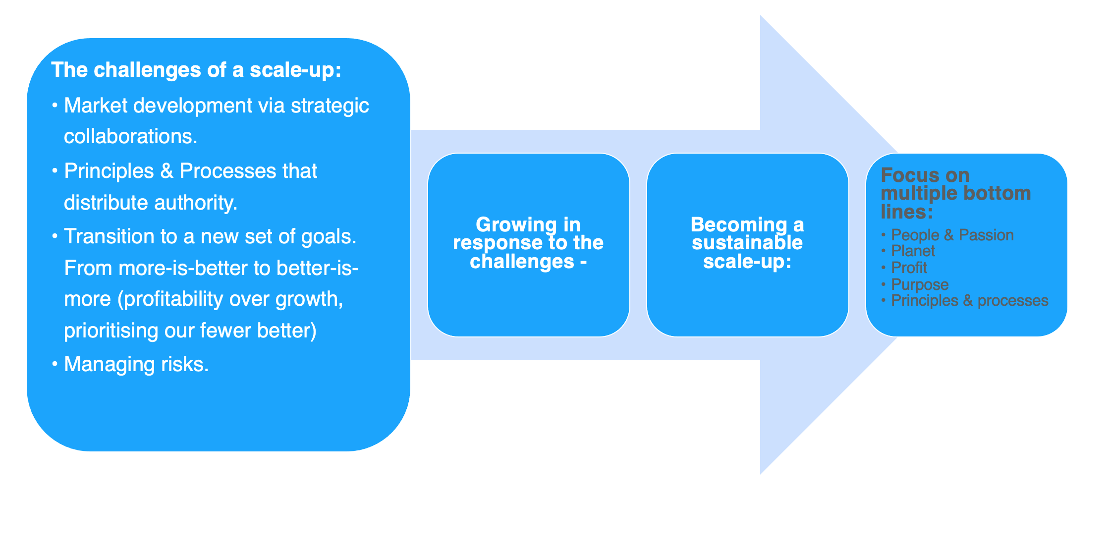 challenges-that-define-scaleup