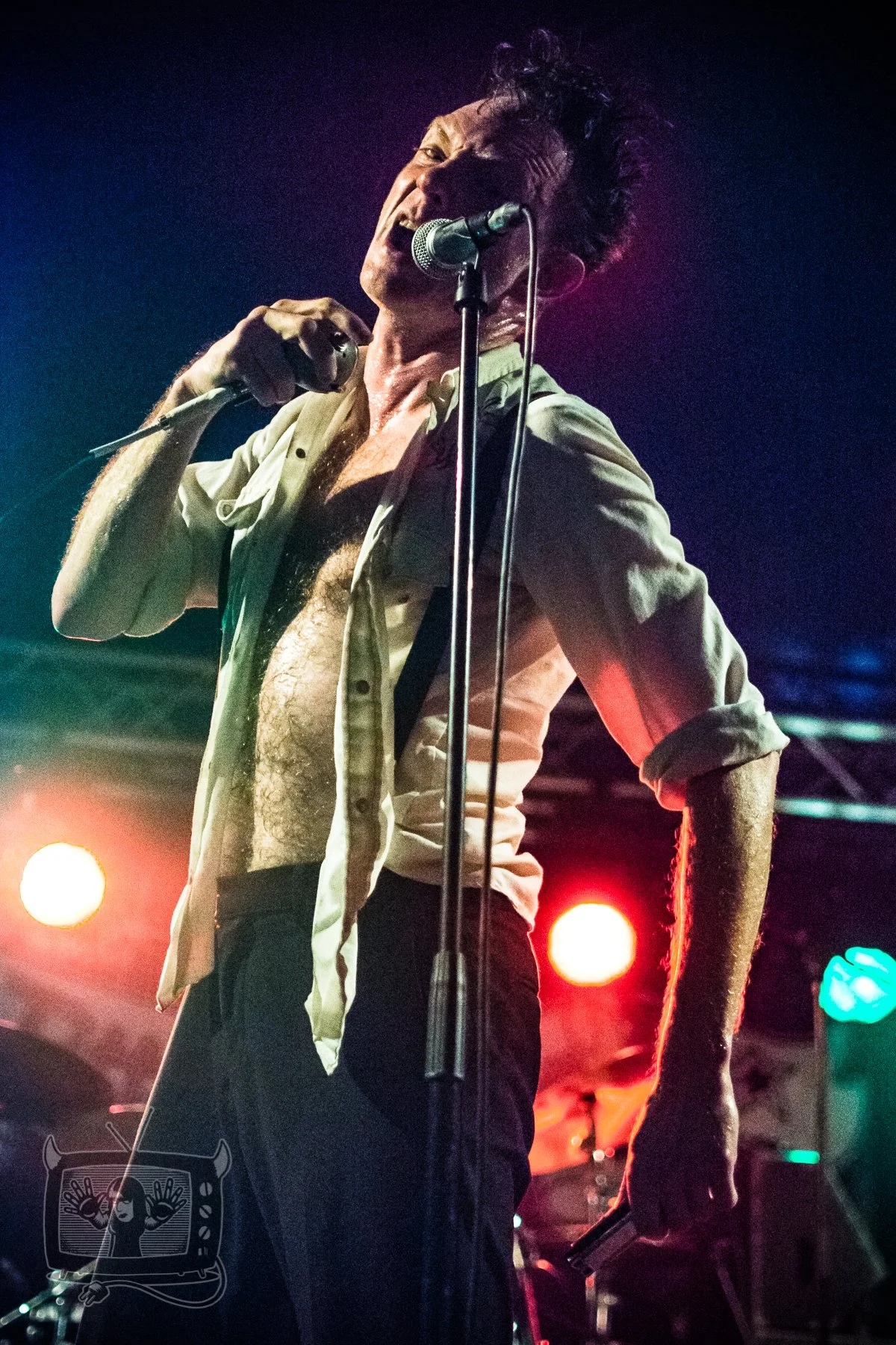 Legendary Shack Shakers, Sjock Festival 2017 - A3 fine art print