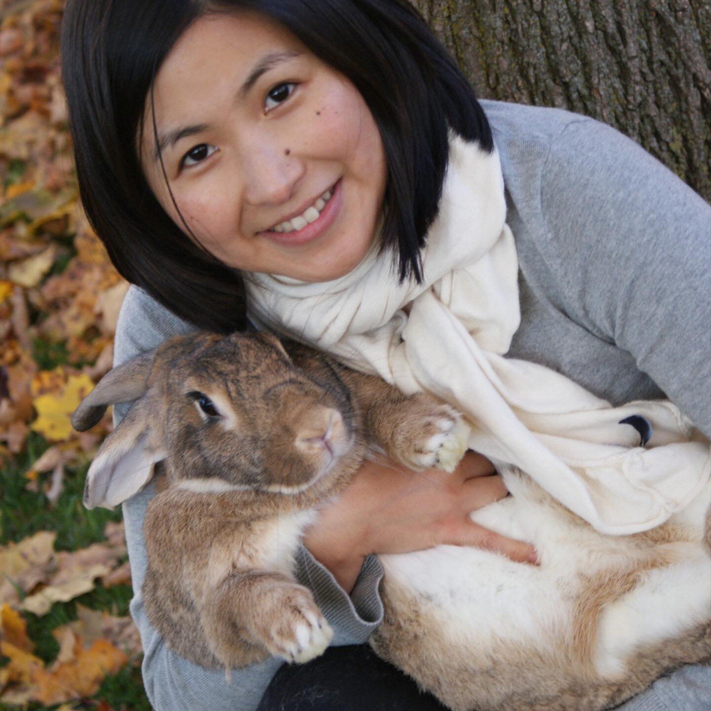 It's almost Easter 🐣 
A bit of throwback with all 4 rabbits I had over a span of 12 years. 
.
Bunnies are fluffy and cute but they have many many secrets! 😏
.
🐇 rabbits on average live between 6-14 years, some even longer! 
.
🤓they are very smart