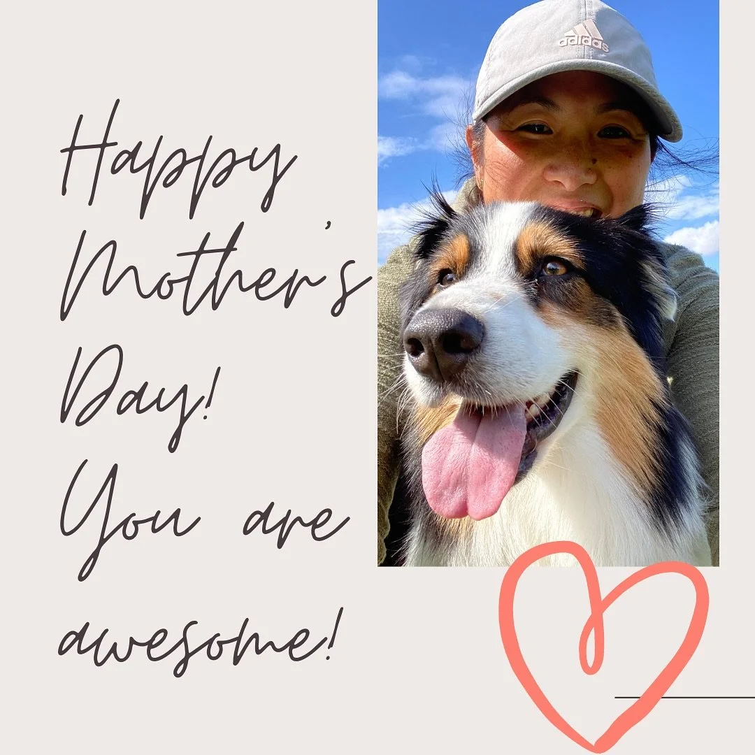 Happy Mother&rsquo;s Day to all moms, dog moms, mom figures and guardians 💛 

You are awesome💖 

#happymothersday❤️ #dogmom