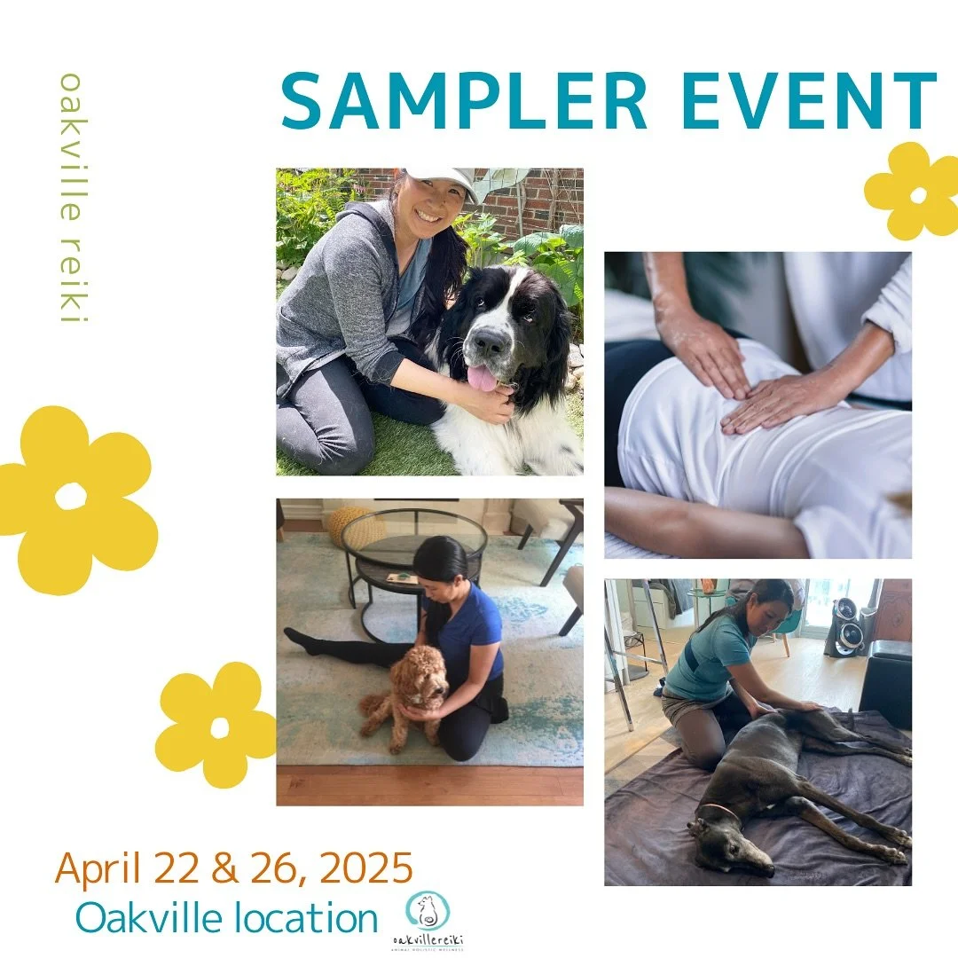Sampler Event🌸

Have you been interested in holistic wellness and wondering if you should try it but been on the fence?  This event will be a perfect opportunity to try various modalities for you (humans) and your fur babies 💛

We offer 
-Yuragi ca