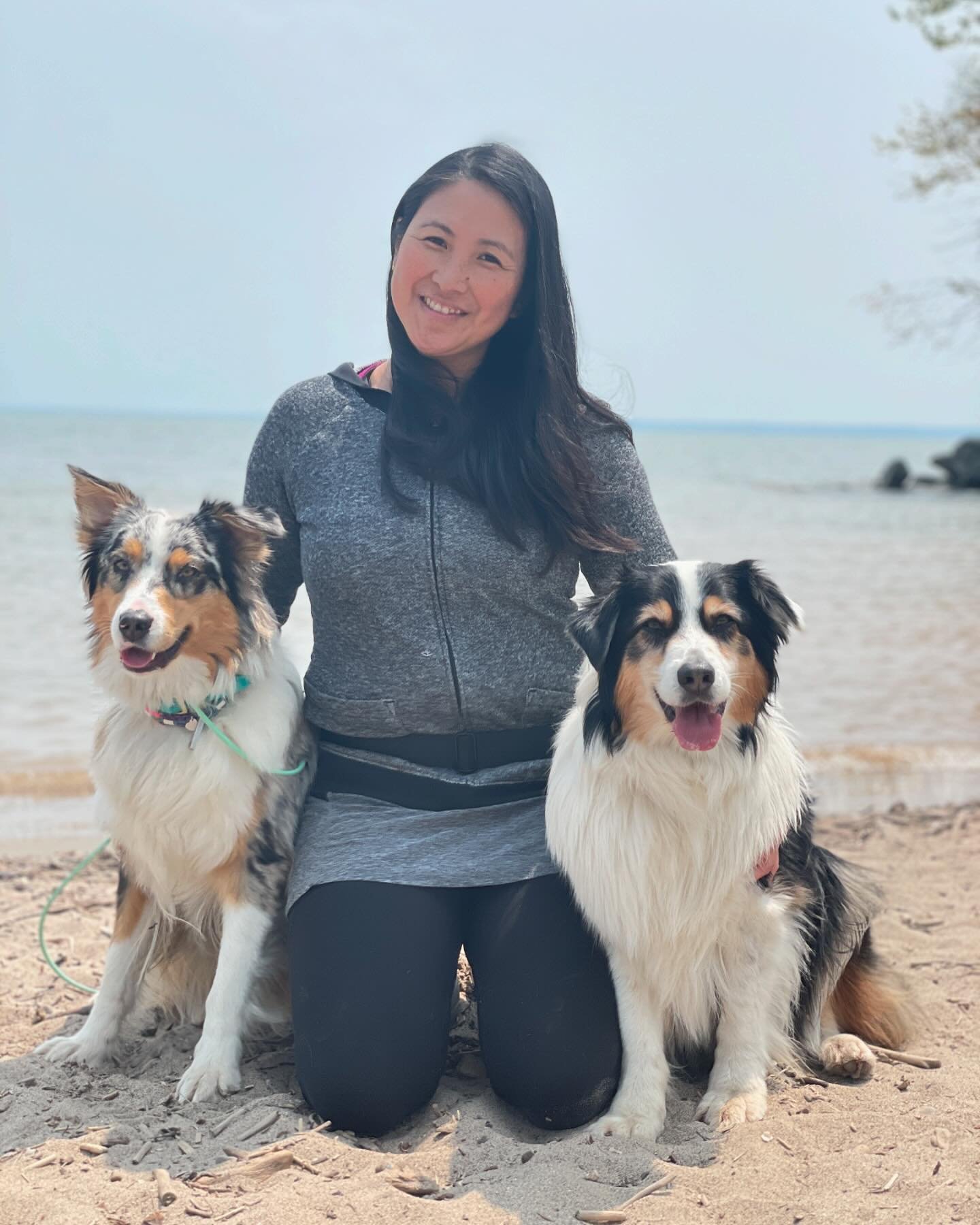 Thank you 2024 and all the new adventures!  Thank you friends and doggos who make my life extra special 💛. Wishing you a happy new year and a fabulous 2025✨
.
.
.
.
#happynewyear #newyear #thankyou #thankyou2024 #bestwishes #bestwishes #dogs #dogsof