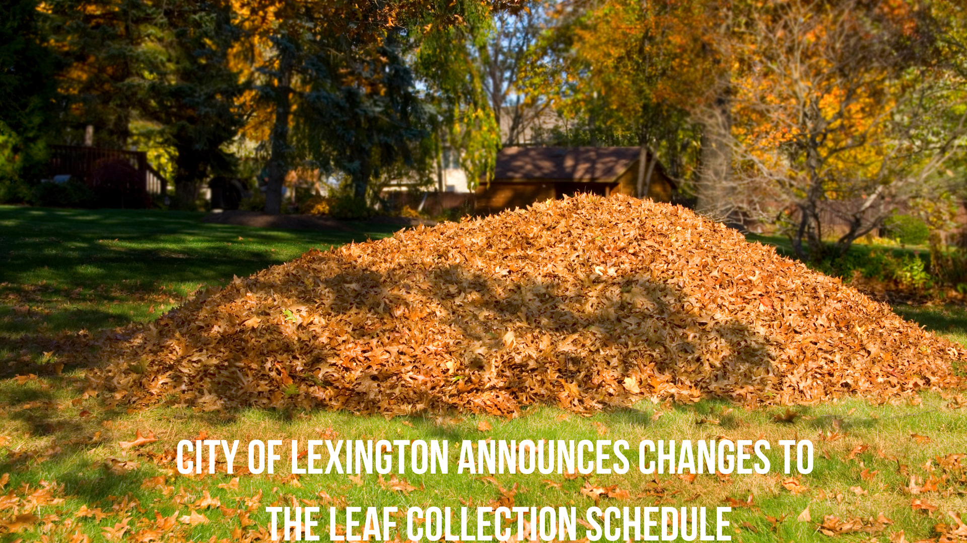 City of Lexington announces changes to the leaf collection schedule —  DavidsonLocal.com