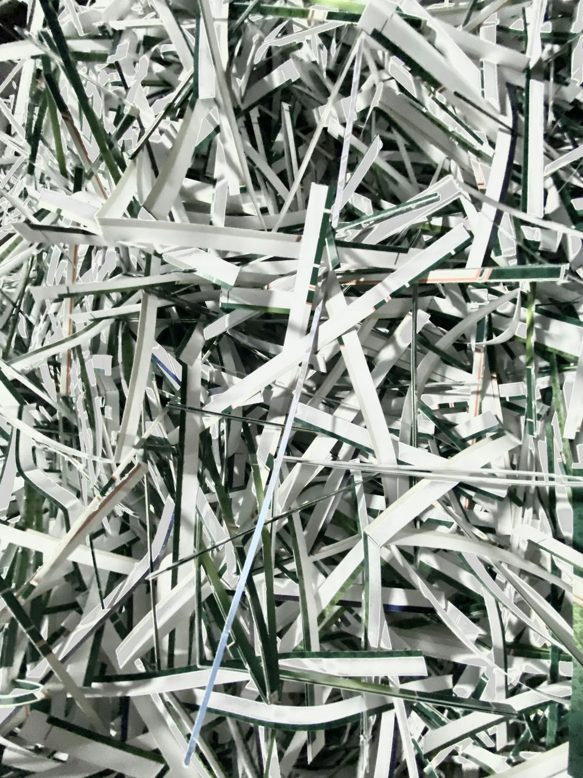 Thomasville agencies to host document free shred event