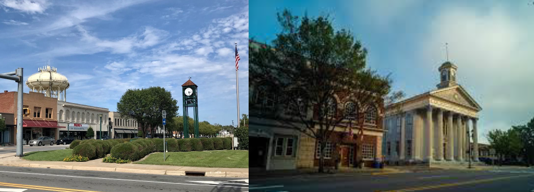 Uvas, Maletas y Repollos: ¿Será Tu Tradición de Año Nuevo la Más Afortunada del Condado de Davidson?