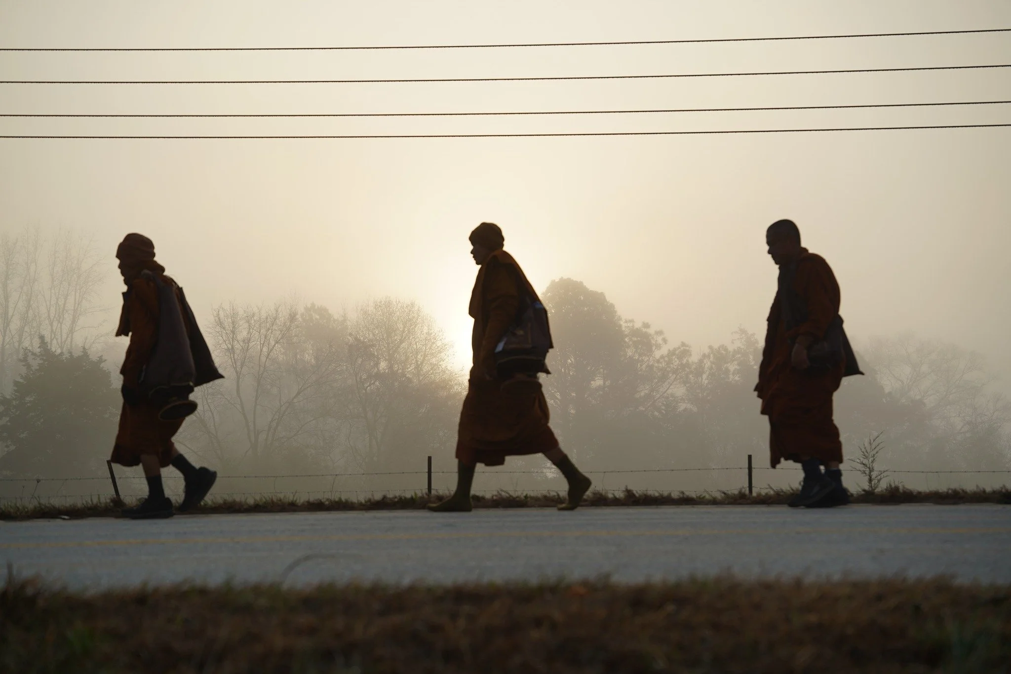 Barbara Presnell: Walk Like a Monk