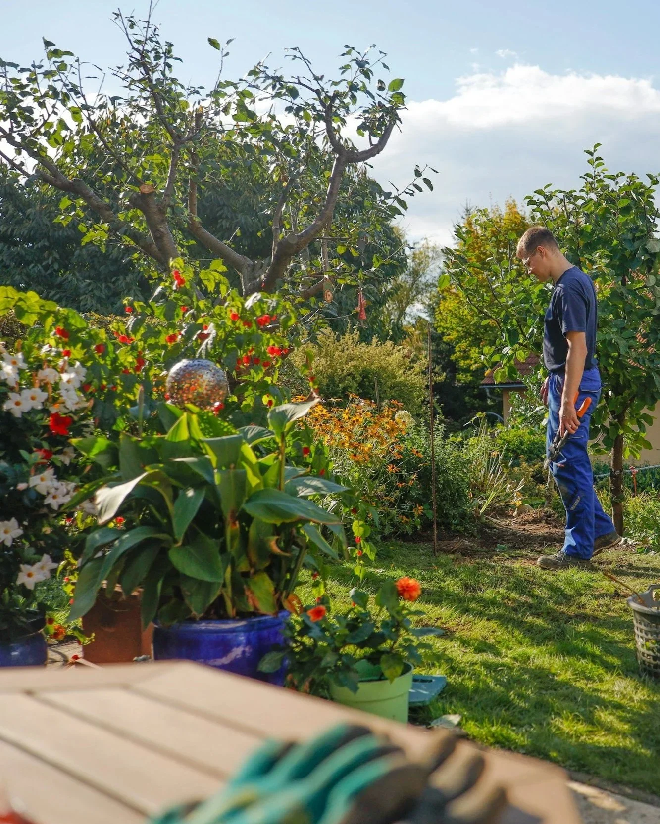 Thomasville Announces the Return of the Neighborhood Toolbox Program