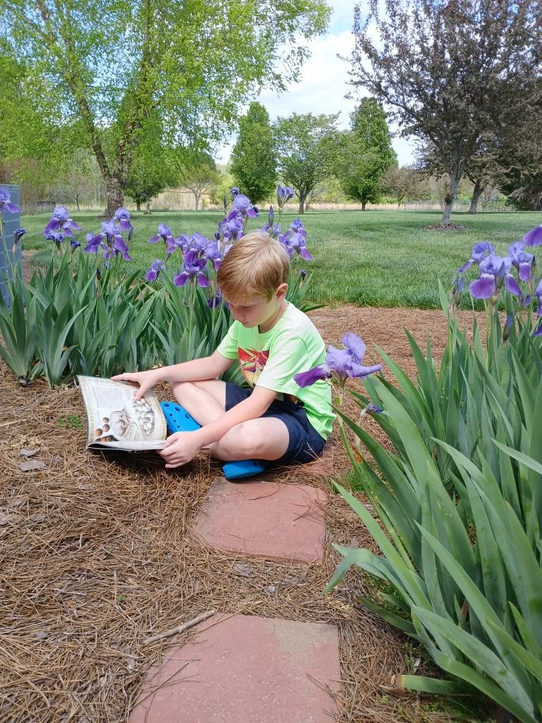 Books in Bloom Invites Families to Celebrate Reading and Nature in Davidson County