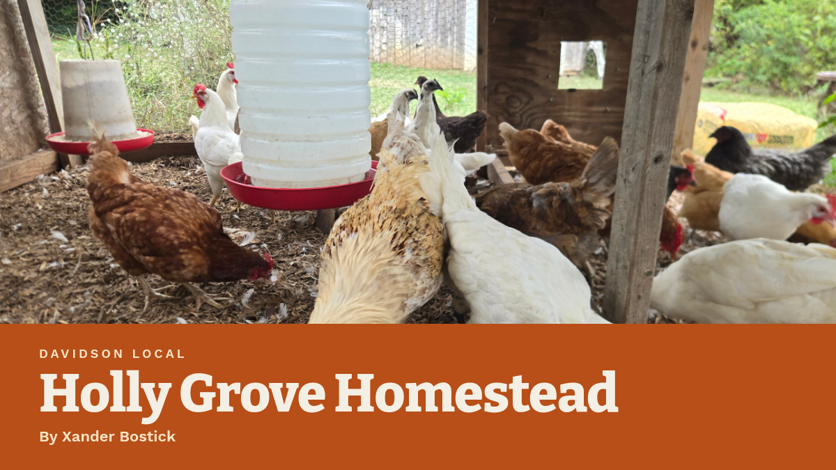 The Holly Grove Farmer's Almanac: Fall 2026 Edition